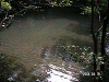 s_PICT0009_thumb.png
